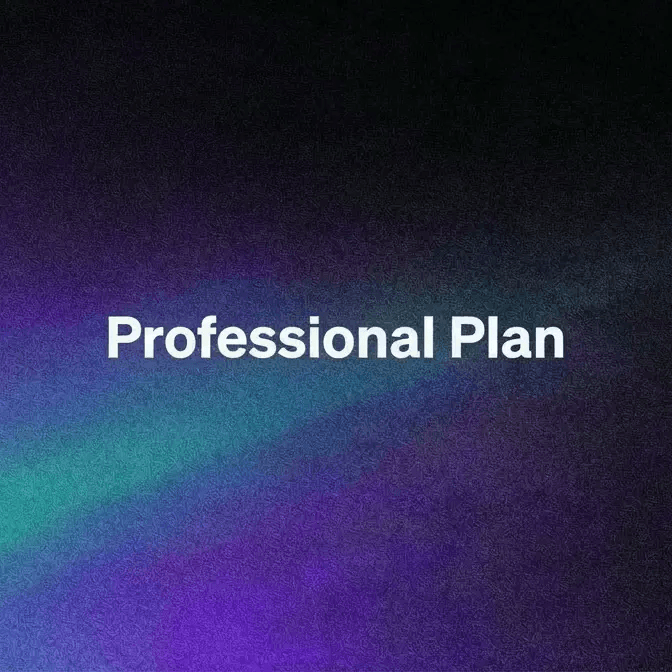 Professional Plan