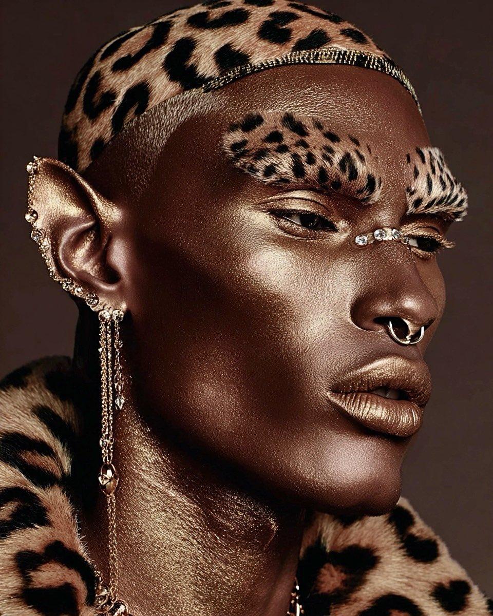 Leopard Brow Majesty