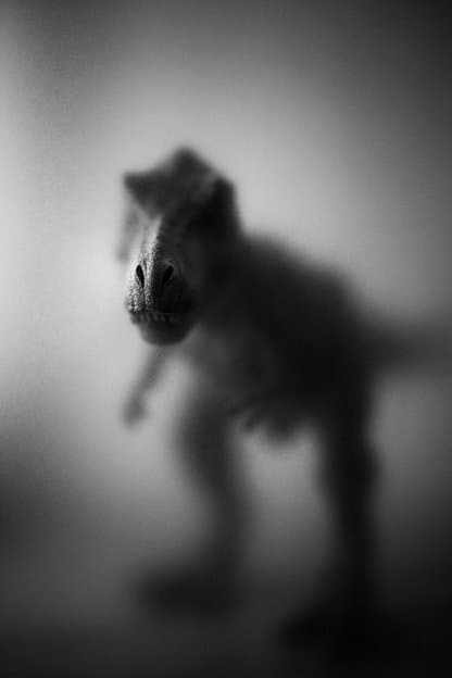 Dinosaur Head Silhouette