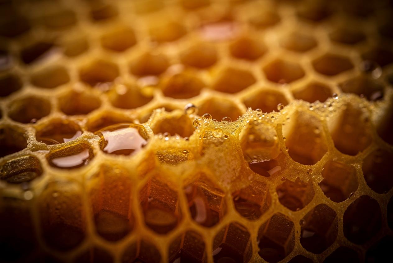 Honeycomb Macro Detail