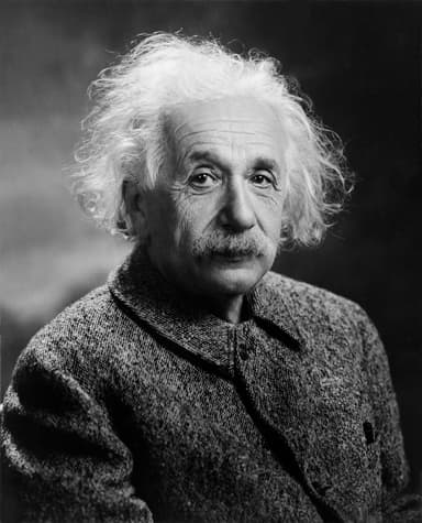 Input: Whimsical Little Genius